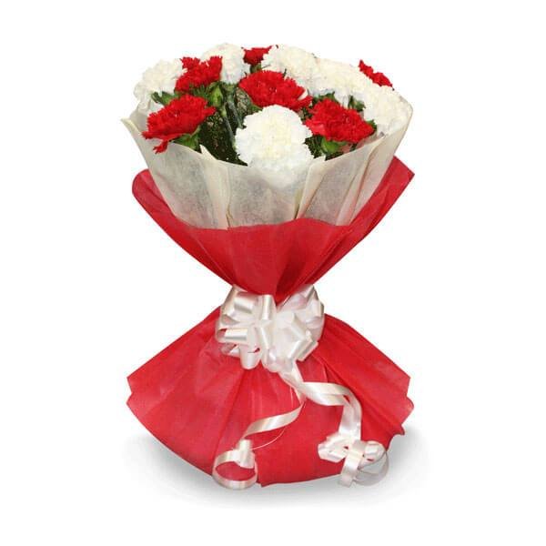 send bouquet of carnation online