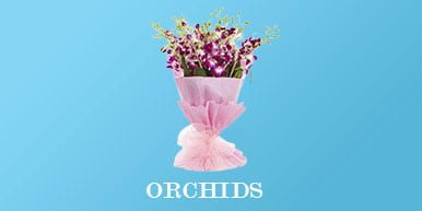 orchid bouquet online