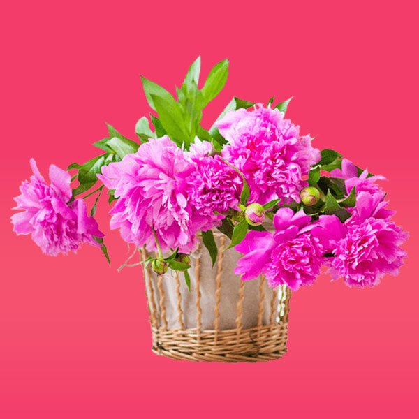 flower delivery in jalgaon