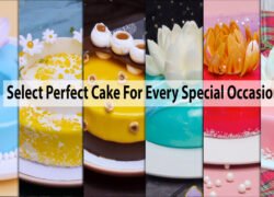 select a perfect cake for every special occasion