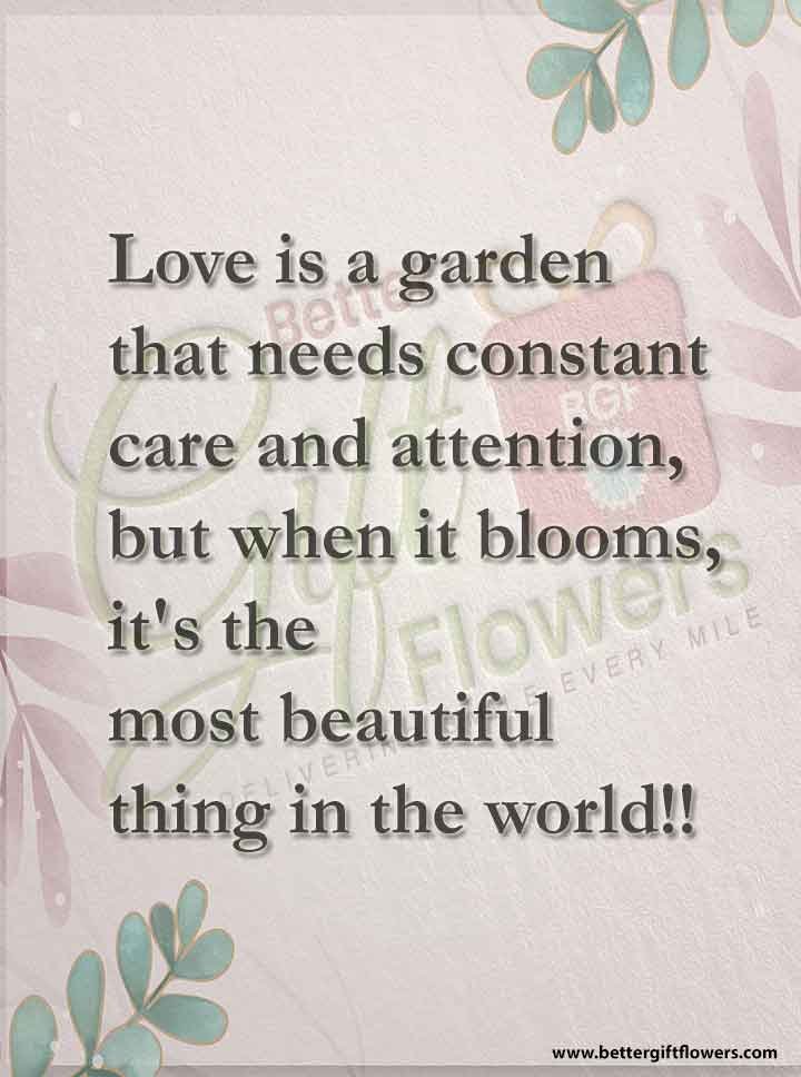 love quote - Love is a garden that needs constant care and attention, but when it blooms, it's the most beautiful thing in the world