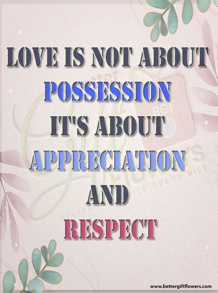 Love Quote - Love is not about possession, it's about appreciation and respect