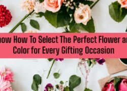Know How To Select The Perfect Flower and Color for Every Gifting Occasion