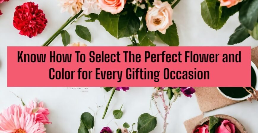 Know How To Select The Perfect Flower and Color for Every Gifting Occasion