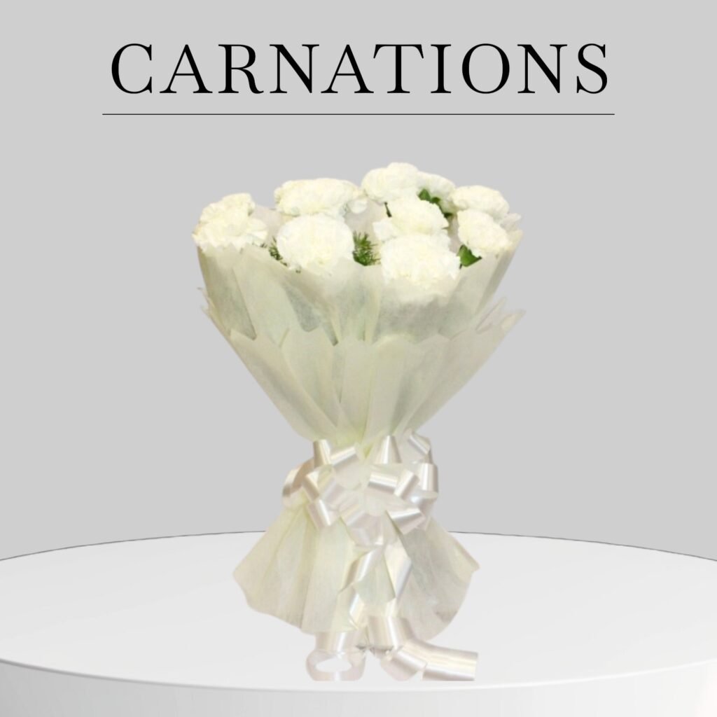Send carnations bouquets to Pune with BetterGiftFlowers