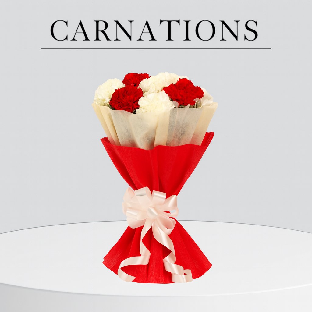 Send Carnations with same day flower delivery in Bangalore - BetterGiftFlowers