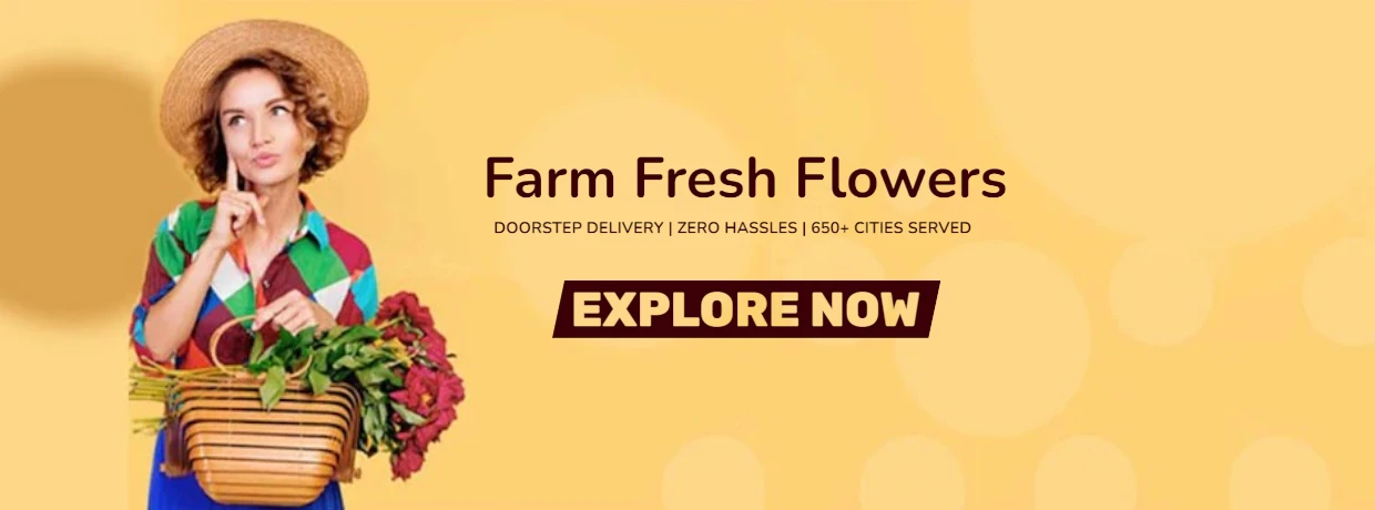 Farm fresh flowers delivered to your doorstep by Better Gift Flowers – hassle-free flower delivery service across 650+ cities in India
