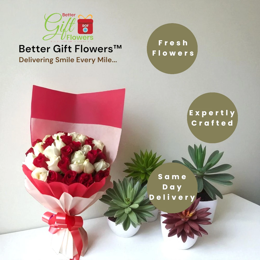 red-and-white-rose-bouquet-delivery-in-bangalore fresh red and white rose flower bouquet delivery in bangalore bettergiftflowers